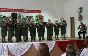 Dzień Niepodległości - 11.11.2012 r. 31