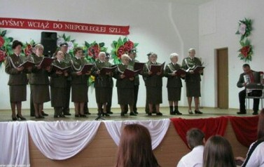 Dzień Niepodległości - 11.11.2012 r. 32