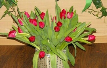 Dzień Kobiet - 08.03.2012 r. 17
