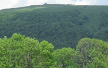 Wycieczka Senior&oacute;w w Bieszczady - czerwiec 2010 r.  60