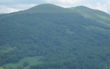 Wycieczka Senior&oacute;w w Bieszczady - czerwiec 2010 r.  65