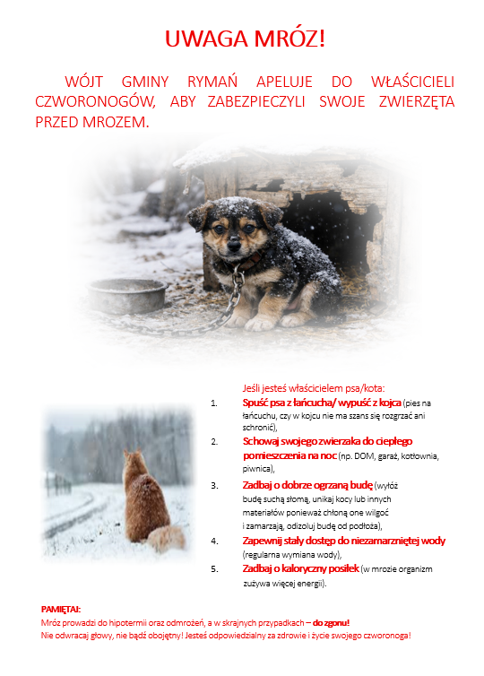 Zwierzaki na&nbsp;mrozie